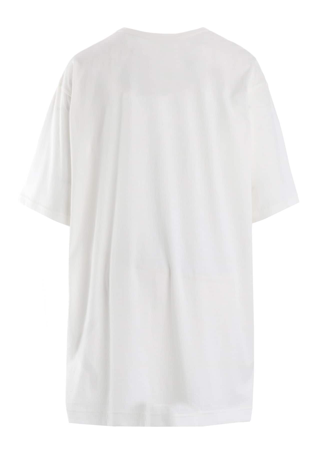 COTTON SINGLE JERSEY SWIRL YY SHORT SLV T