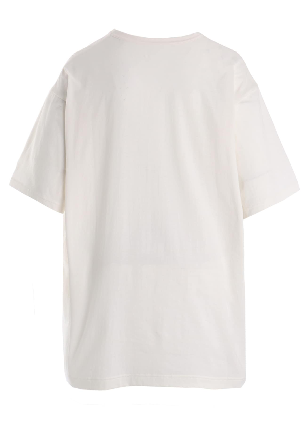 COTTON SINGLE JERSEY HAND WRITING PT SHORT SLV T