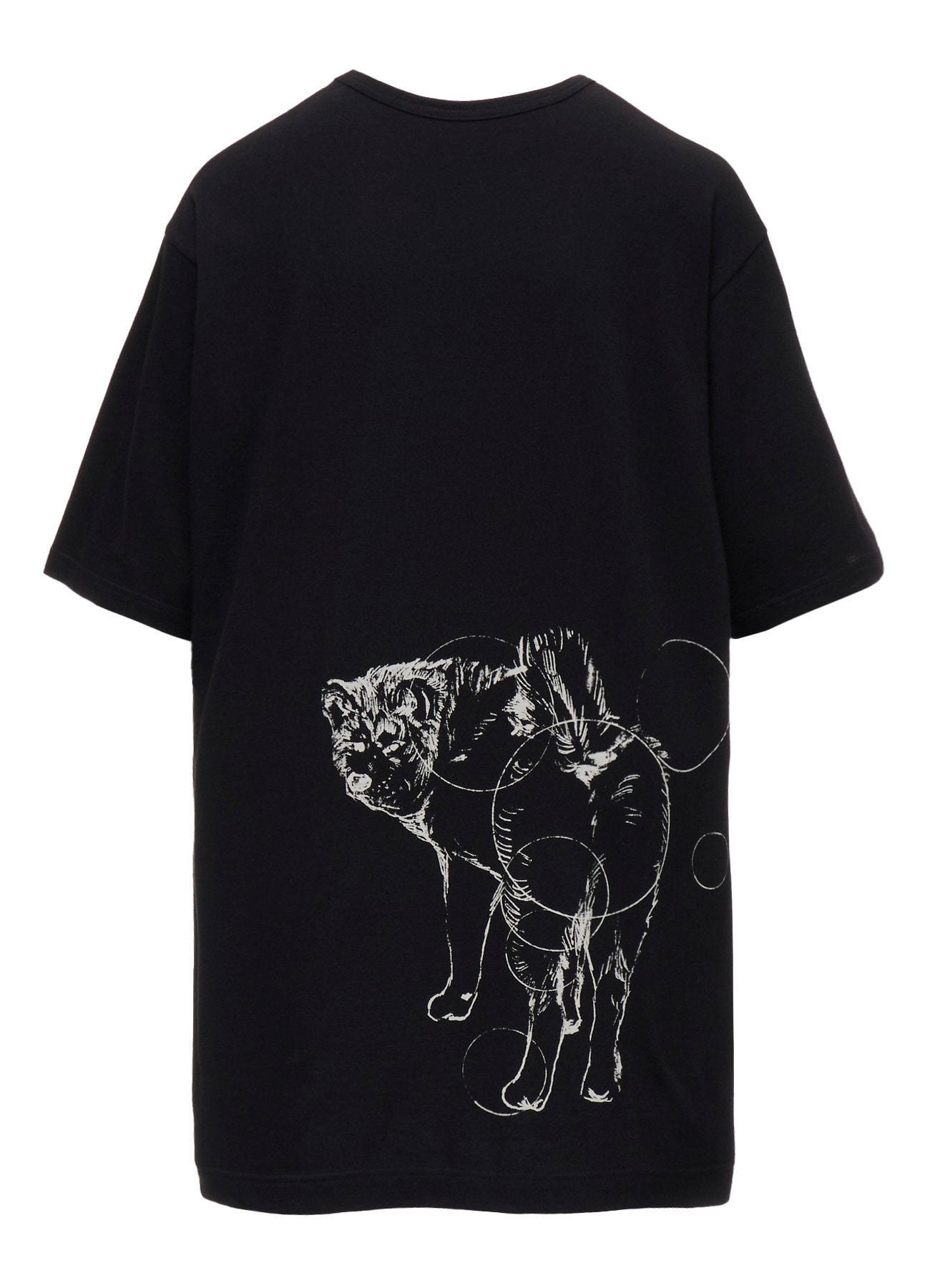 30/-COTTON SINGLE JERSEY SHORT SLV PRINTED T RIN