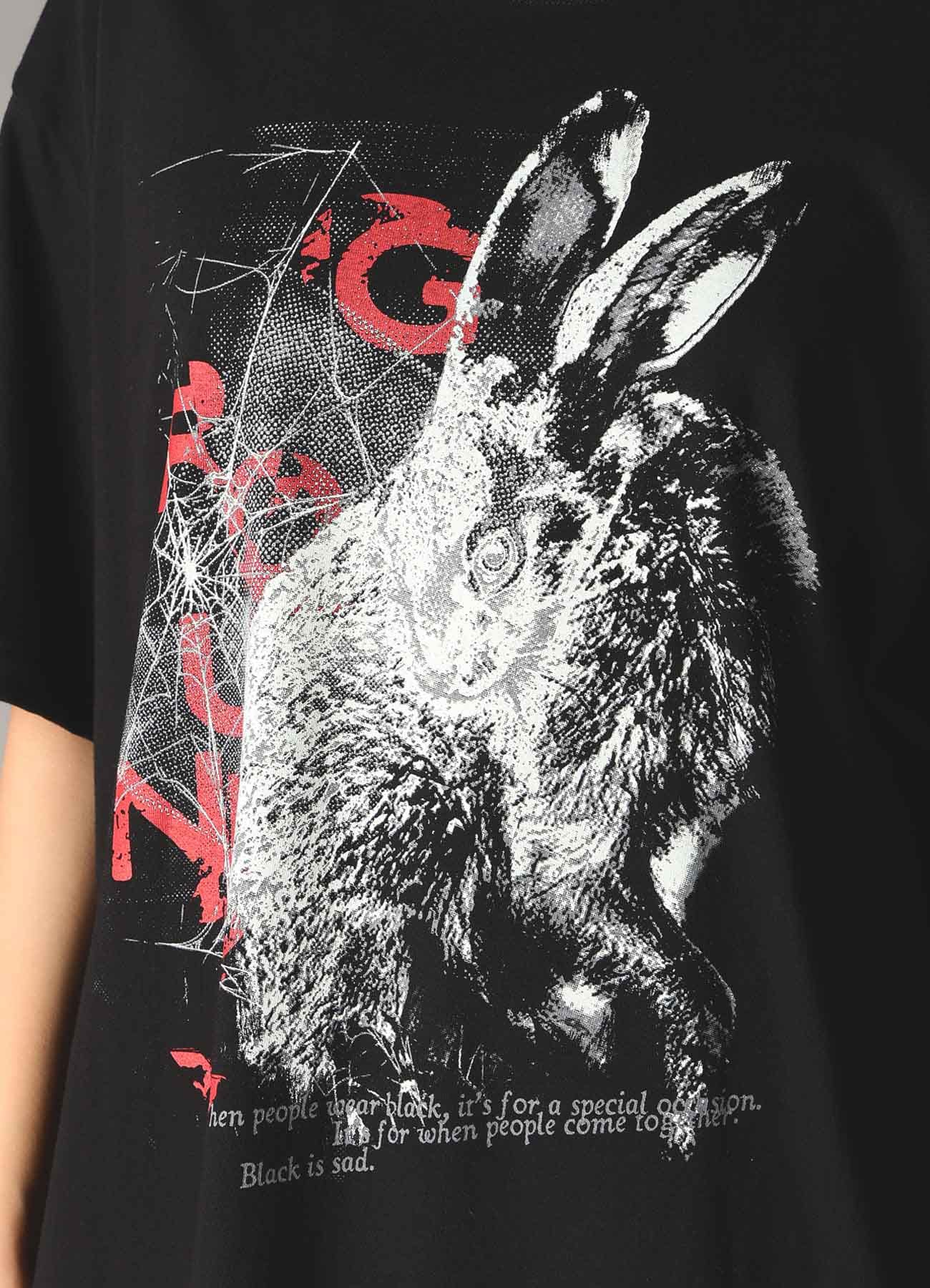 JERSEY RABBIT T-SHIRT