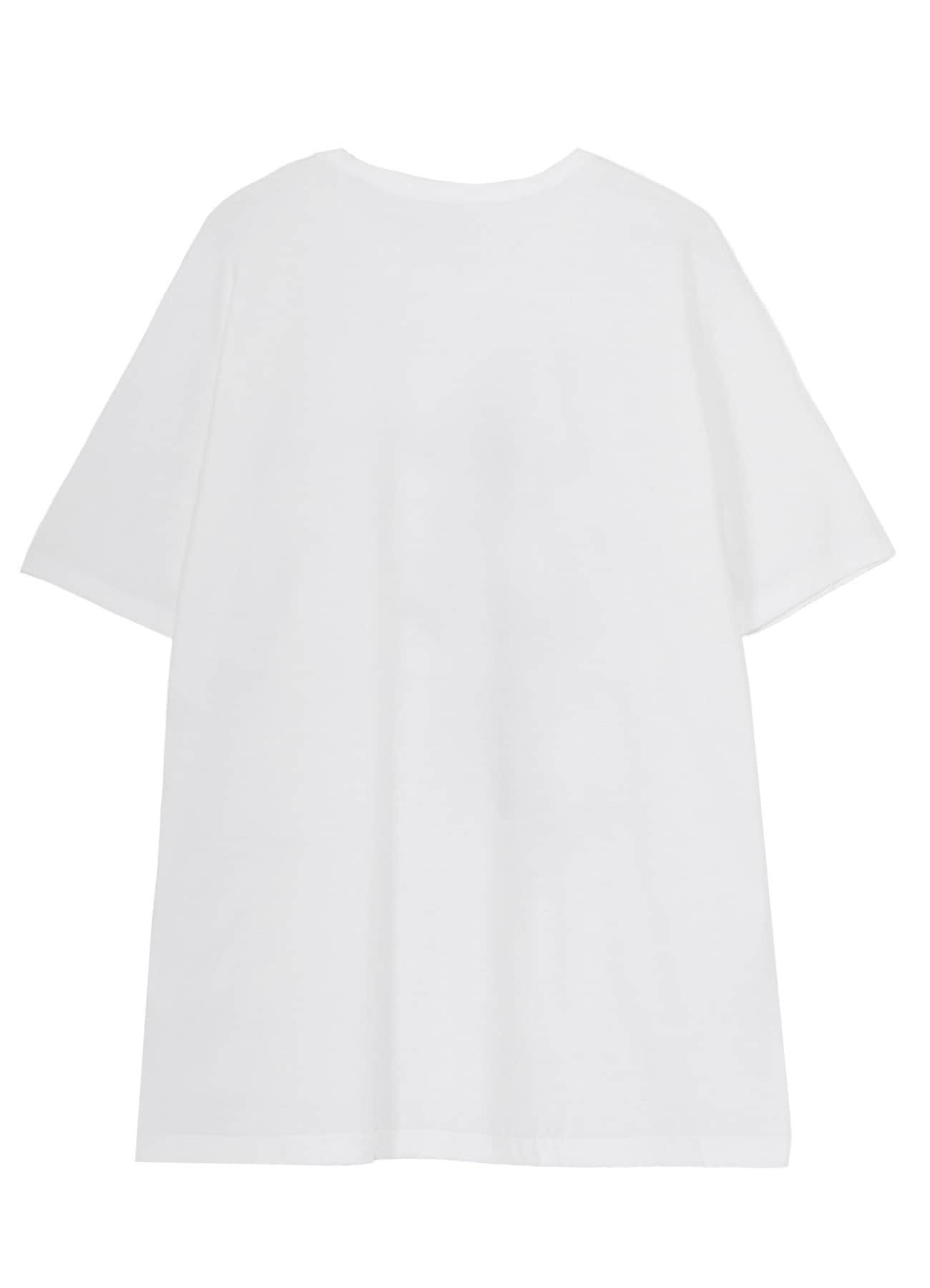 COTTON JERSEY SNAKE GRAPHIC T-SHIRT