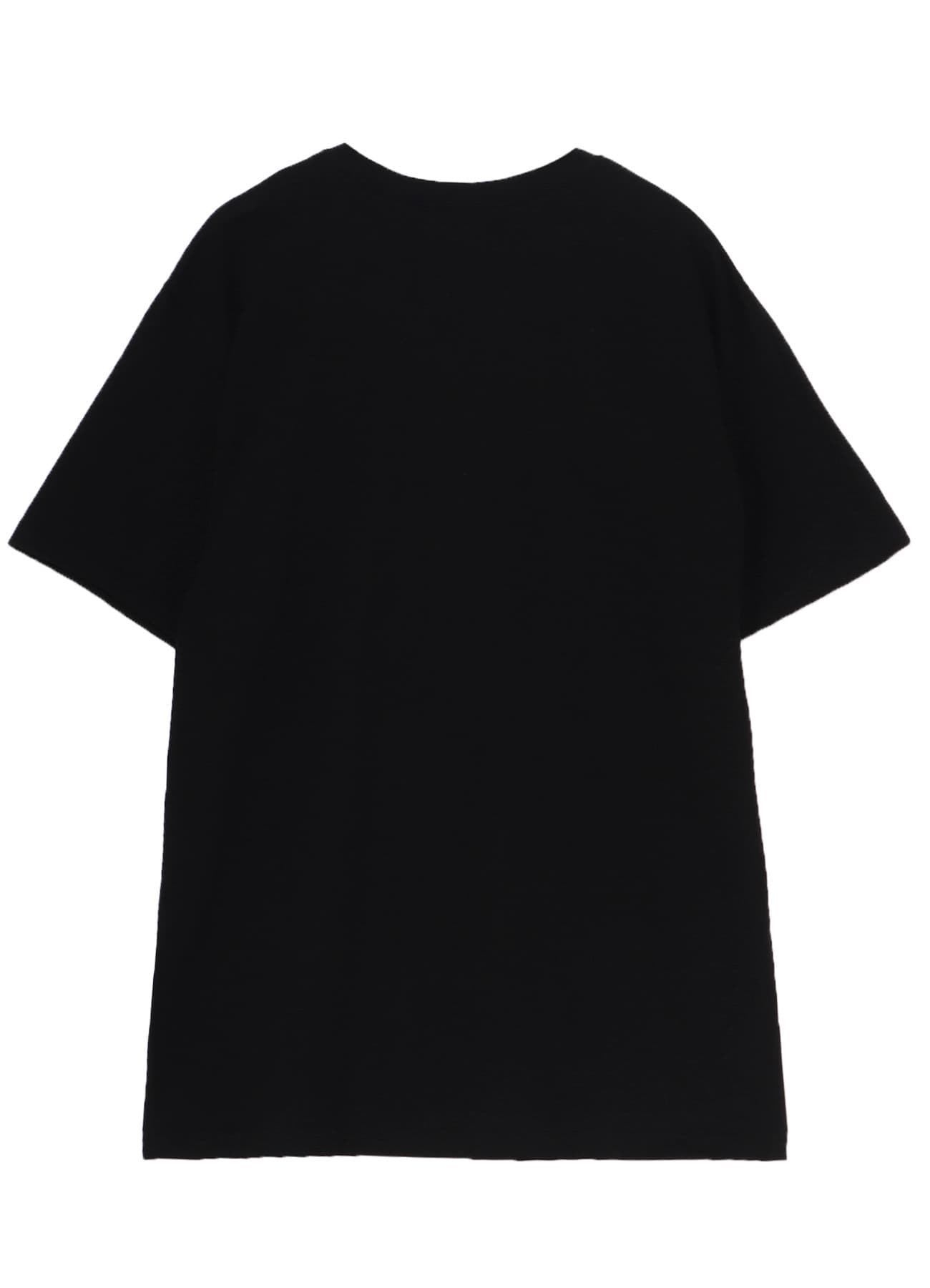 20/COTTON JERSEY CAT