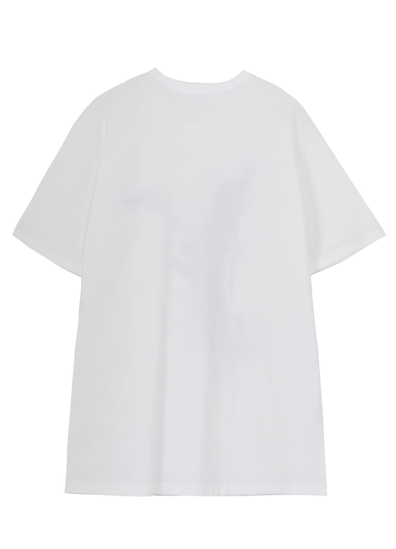 COTTON JERSEY LOGO GRAPHIC T-SHIRT