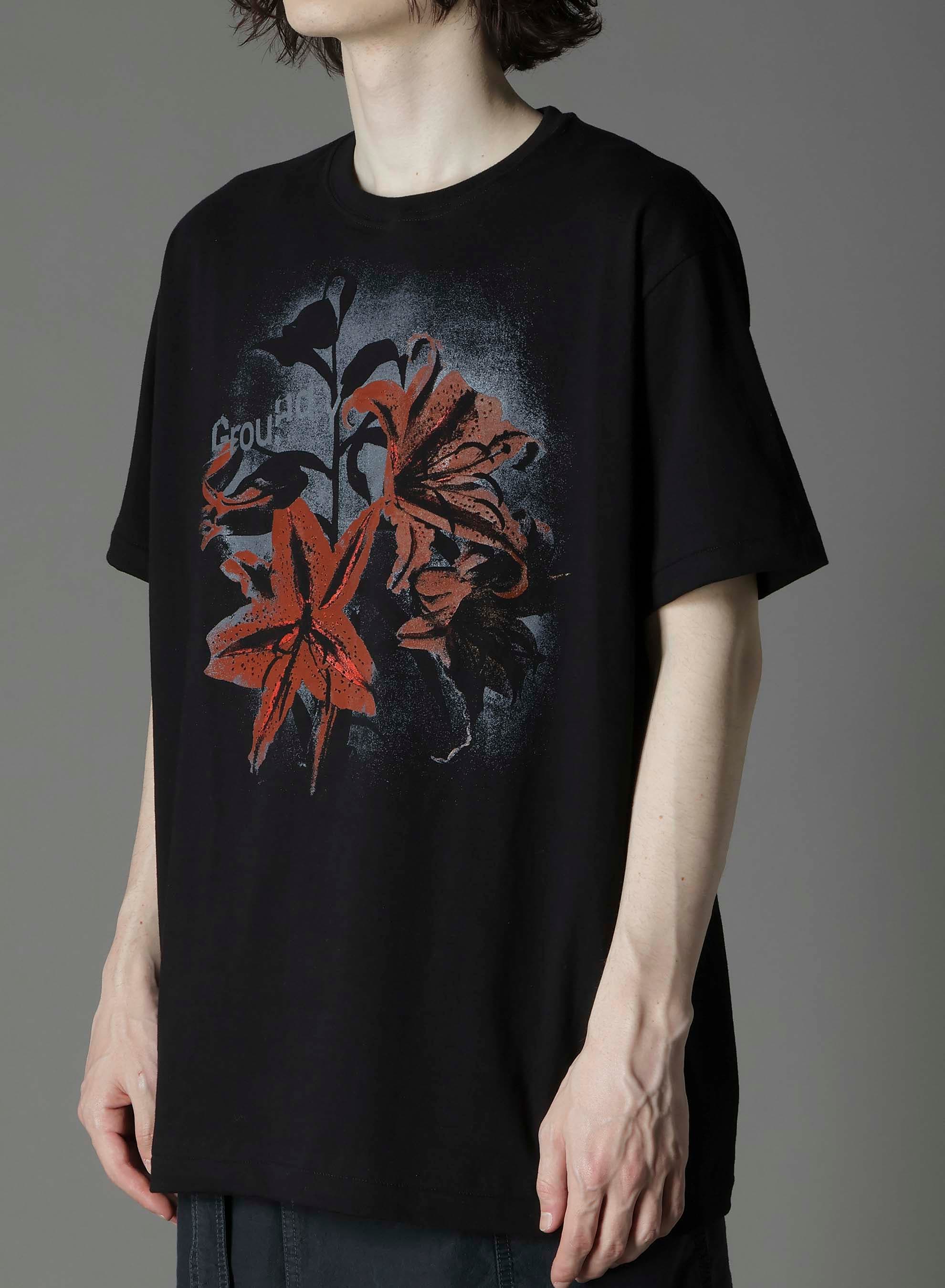 20/COTTON JERSEY LILLY