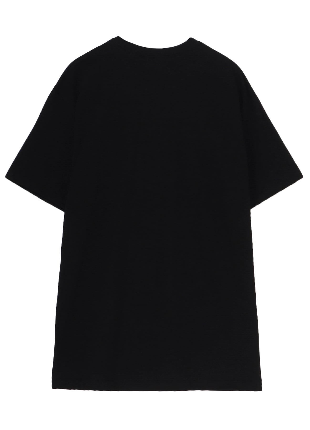 20/COTTON JERSEY LILLY