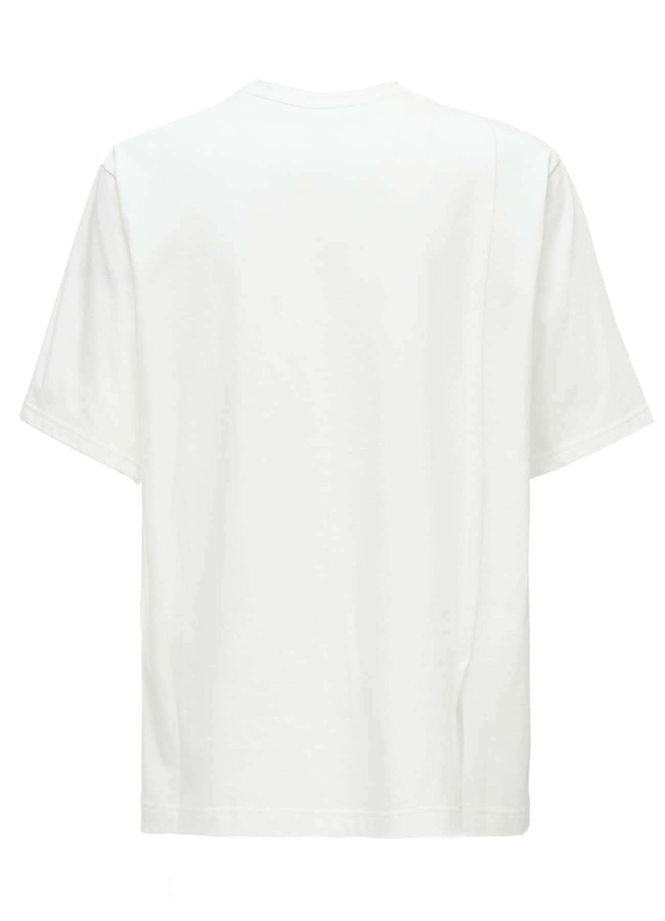 COTTON JERSEY SHORT SLEEVED T