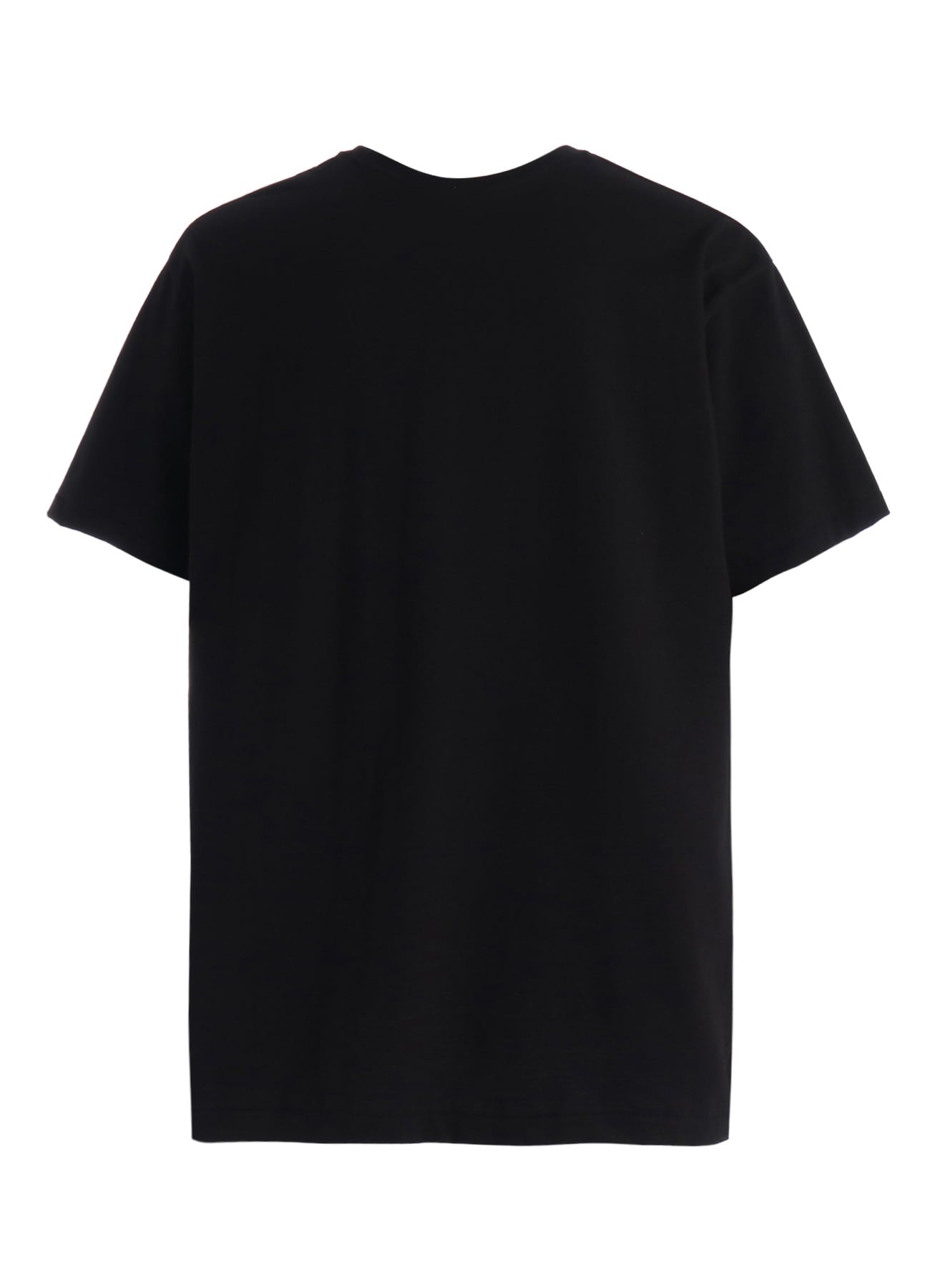 JERSEY CAT AND RED SUNFLOWER T-SHIRT