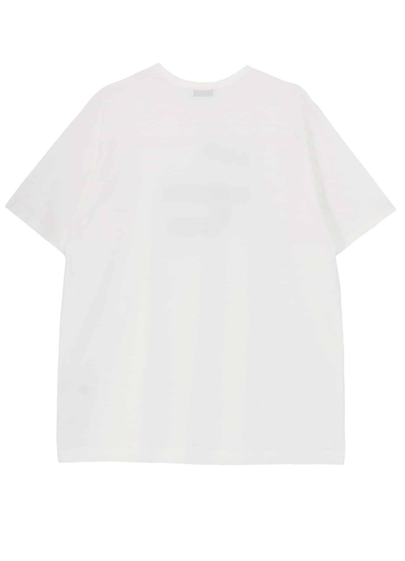30/- COMBED PLAIN STITCH SHORT SLEEVE TEE