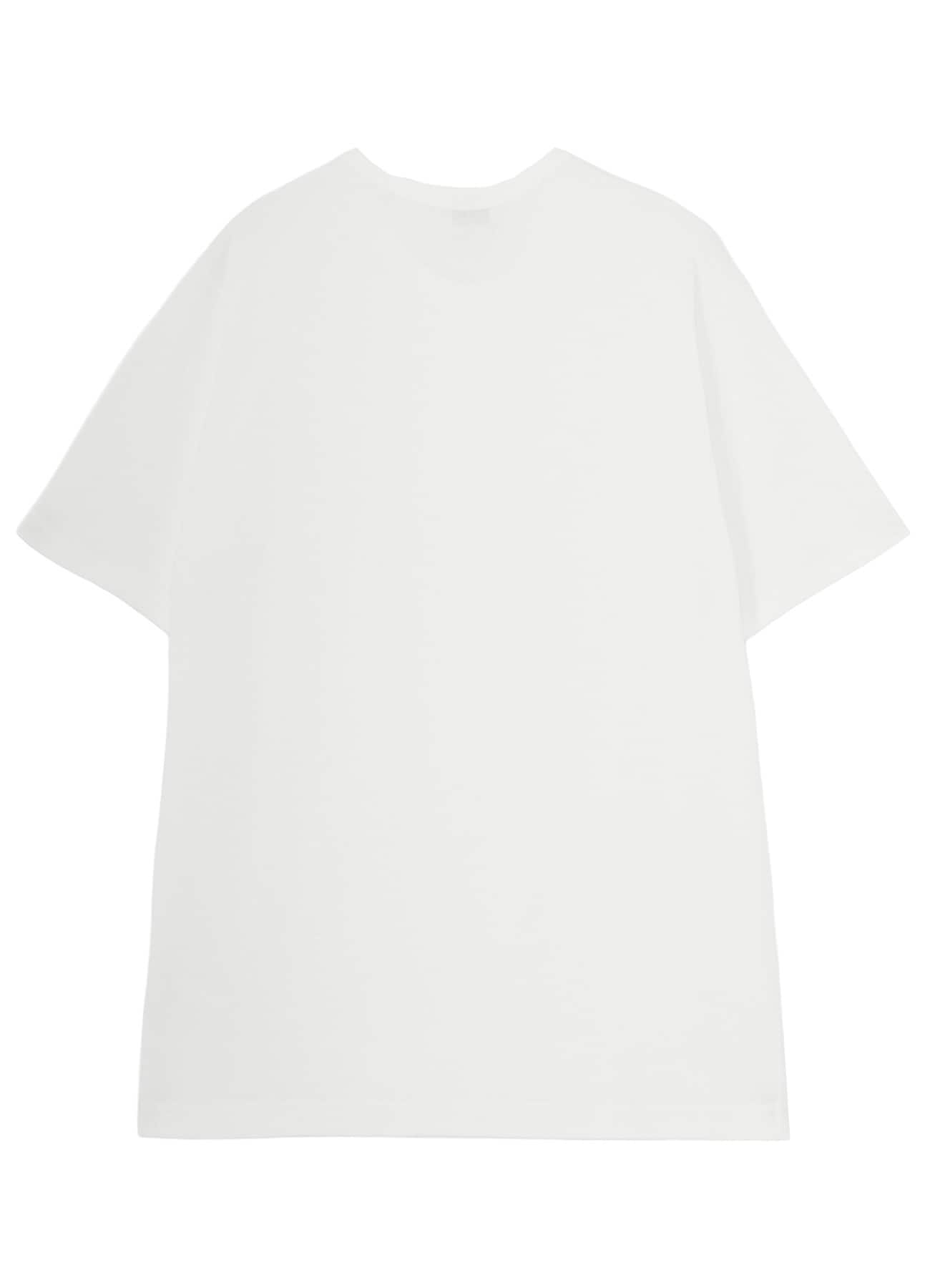 SOFT SINGLE JERSEY ROUND NECK SS TEE
