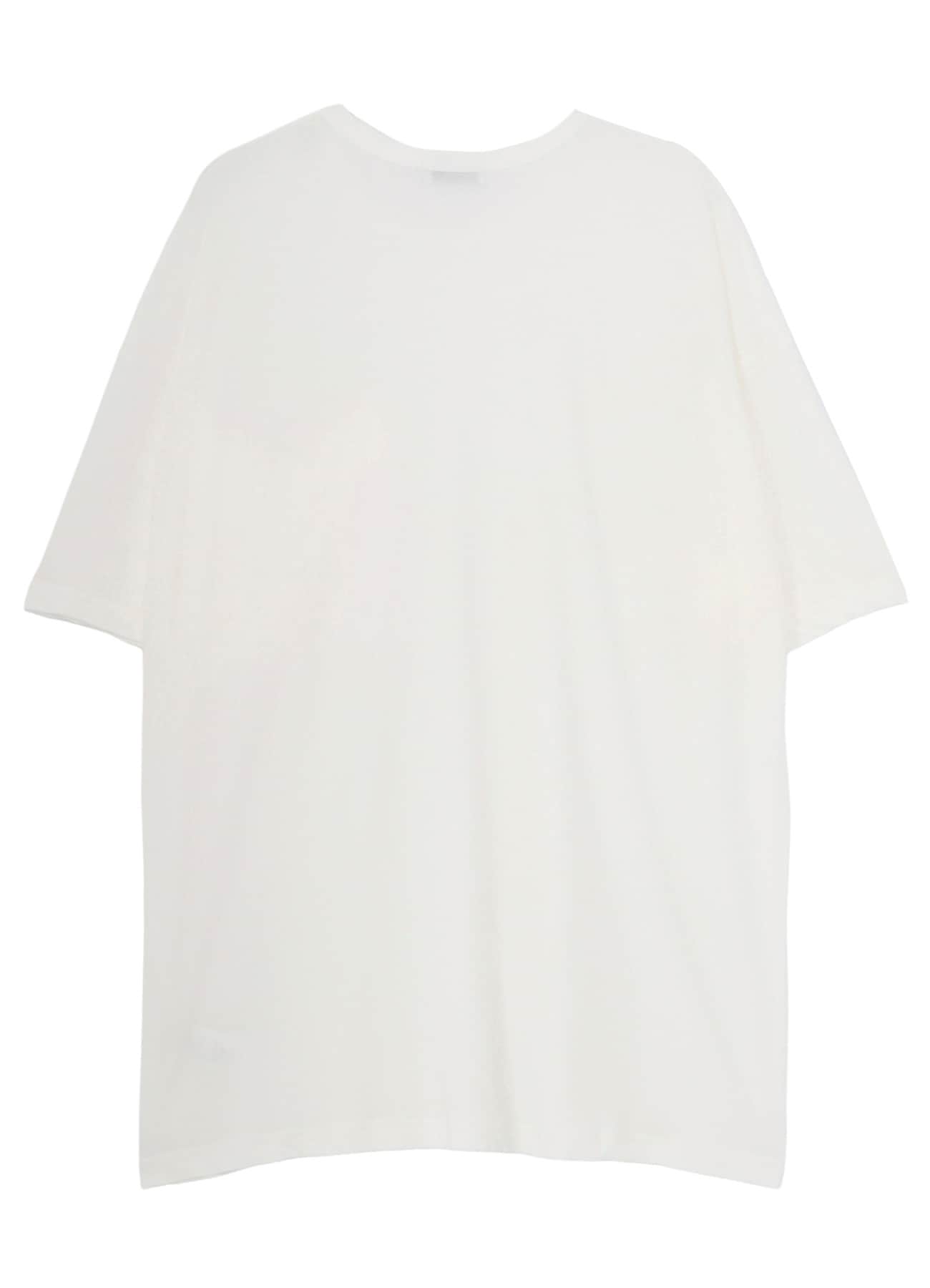 HARD TWISTED SINGLE JERSEY  POCKET HEM SLIT SHORT SLEEVE T