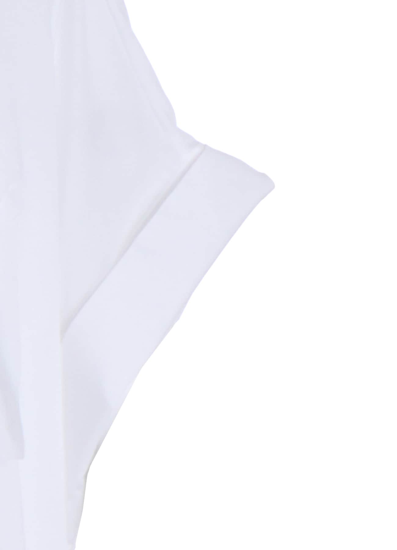 CELLULOSE LAWN ARRANGED SHIRT DRESS