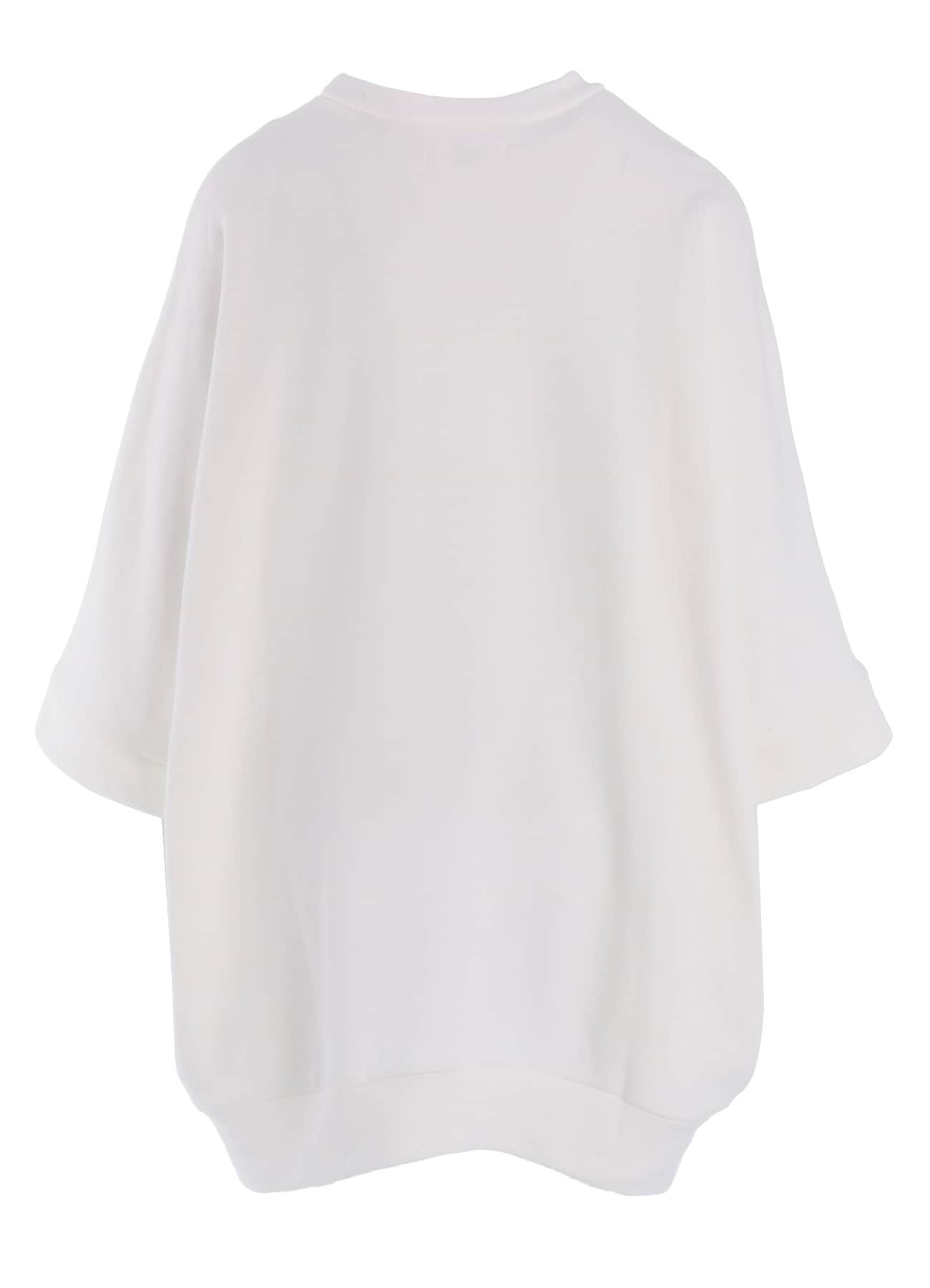 FRENCH TERRY BIG DOLMAN TEE