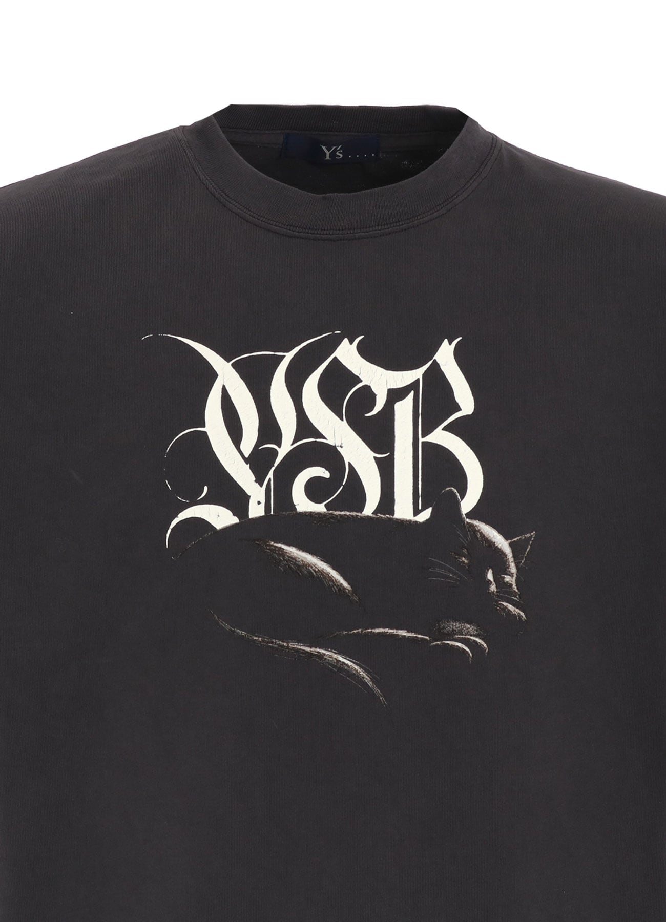 CAT PRINT T SHIRT B