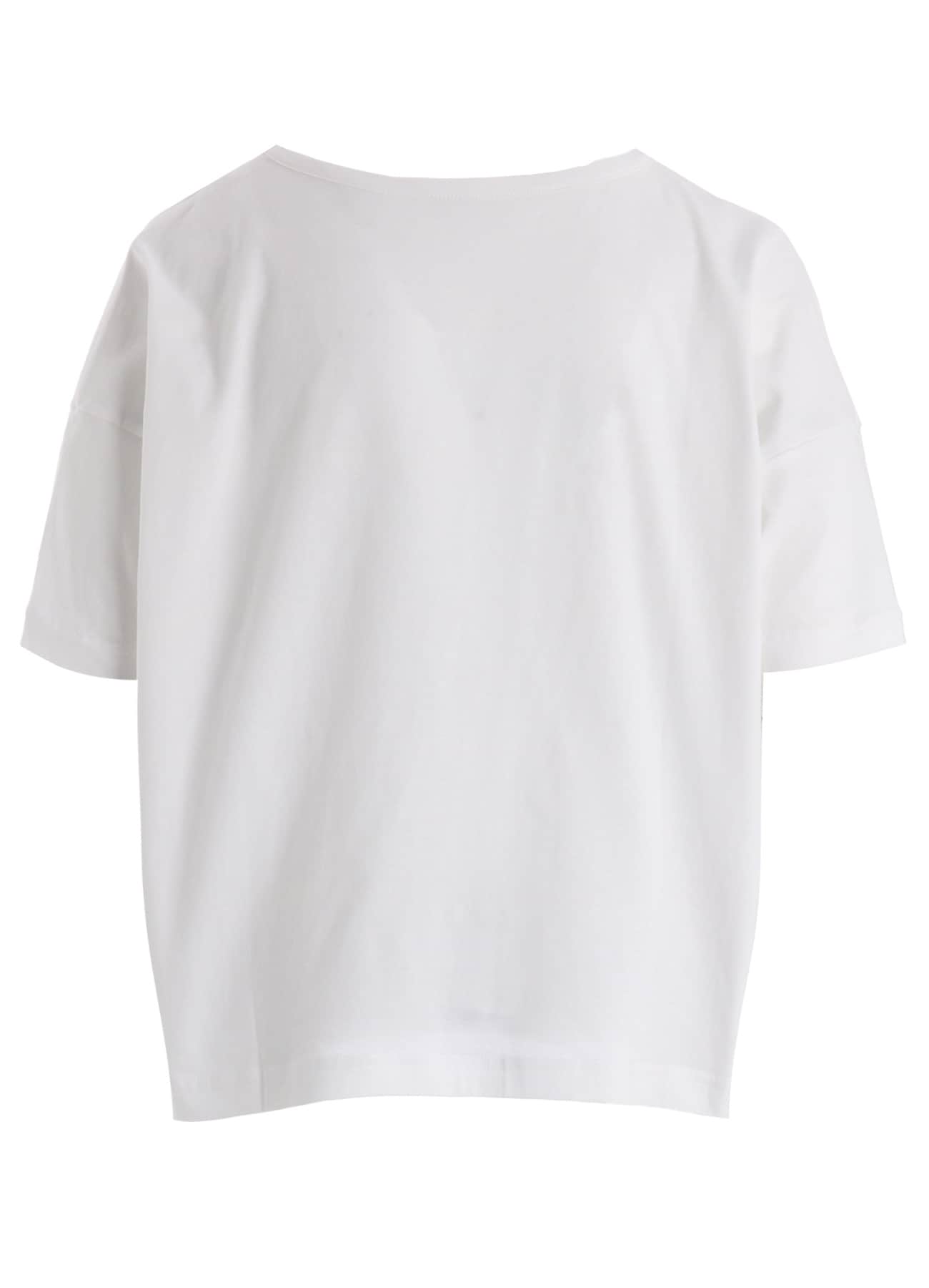 COTTON JERSEY LACE PRINT SHORT SLEEVE CROPED TEE