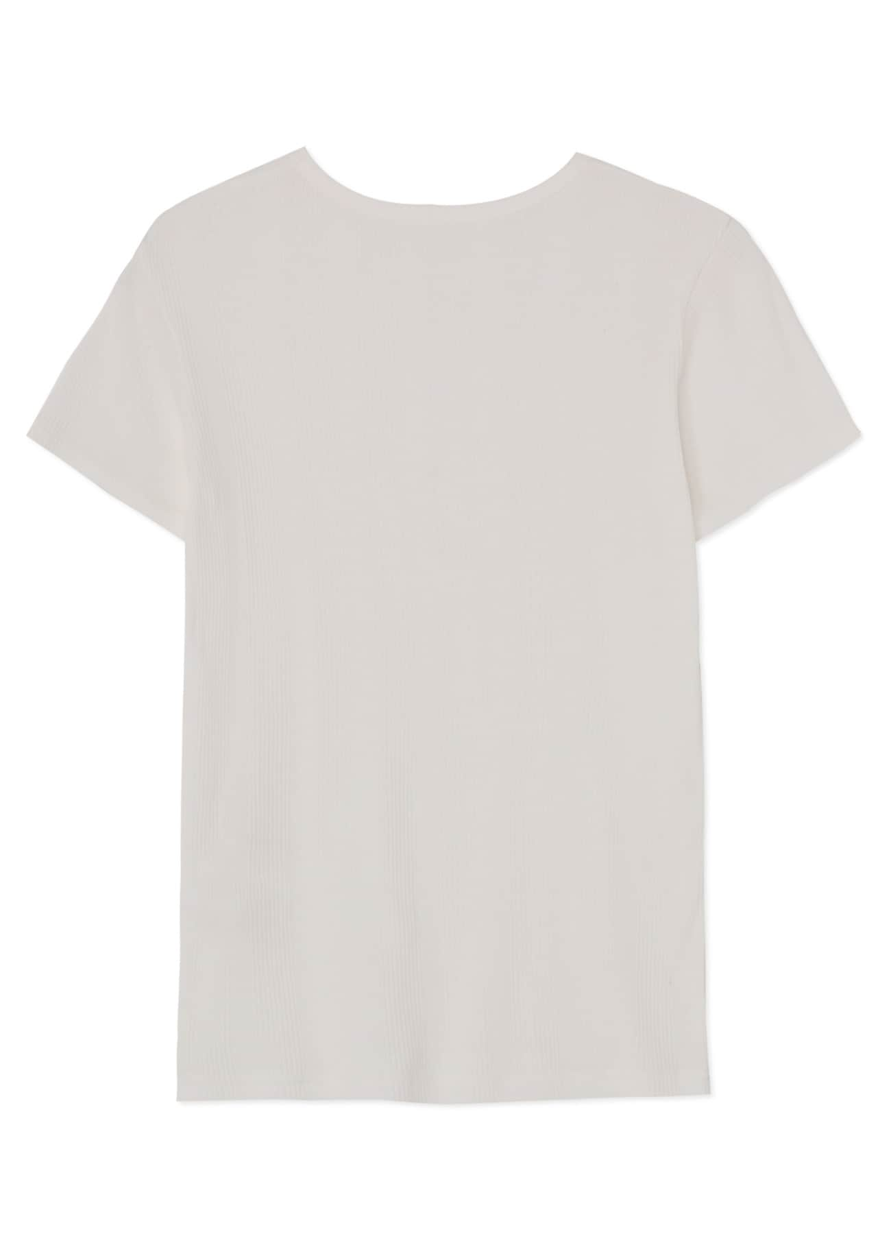 C/RY RANDOM RIB ROUND NECK HALF SLEEVE T