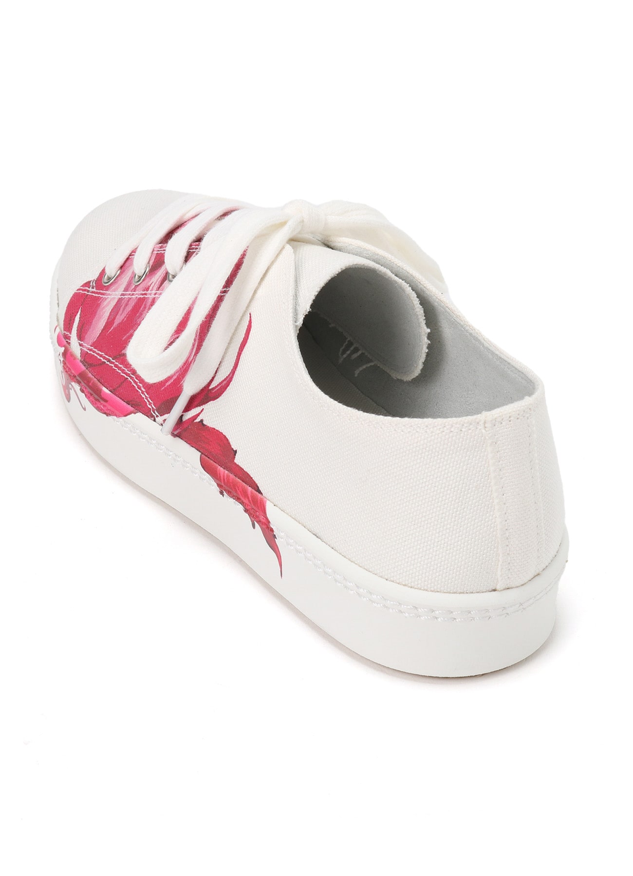 【THE SHOP先行発売】CACTUS DESIGN  PRINT LOW-CUT CANVAS SNEAKER